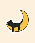 Sleepy Cat
